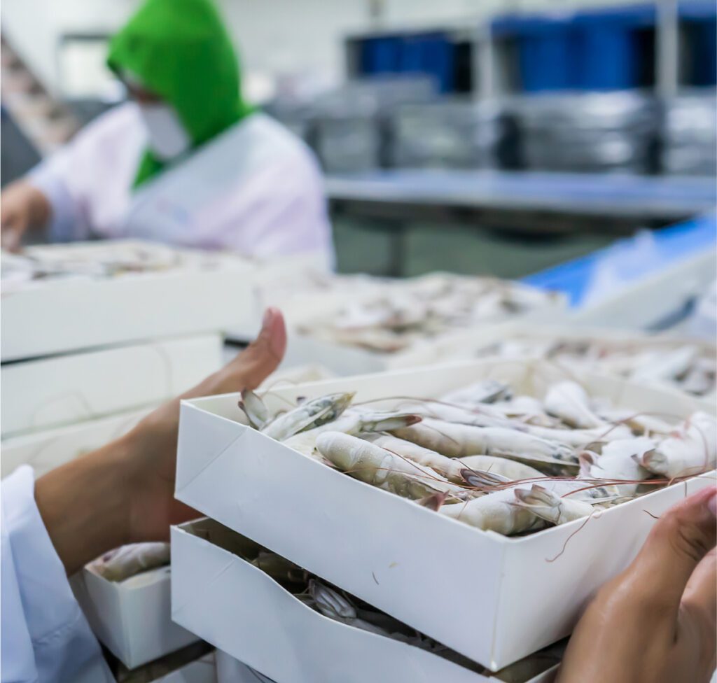 Temperature-Controlled Cold Storage for Food Manufacturers